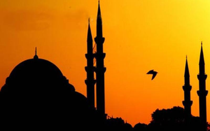 الضجيج الشهي