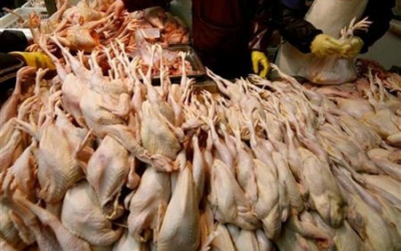 الامانة: اتلافات بالجملة