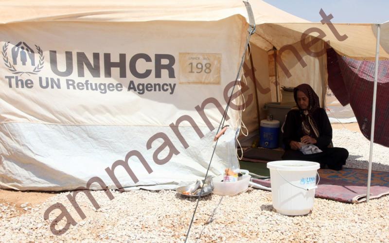 2.3 مليون دولار مساعدات صينية لإغاثة السوريين في الأردن