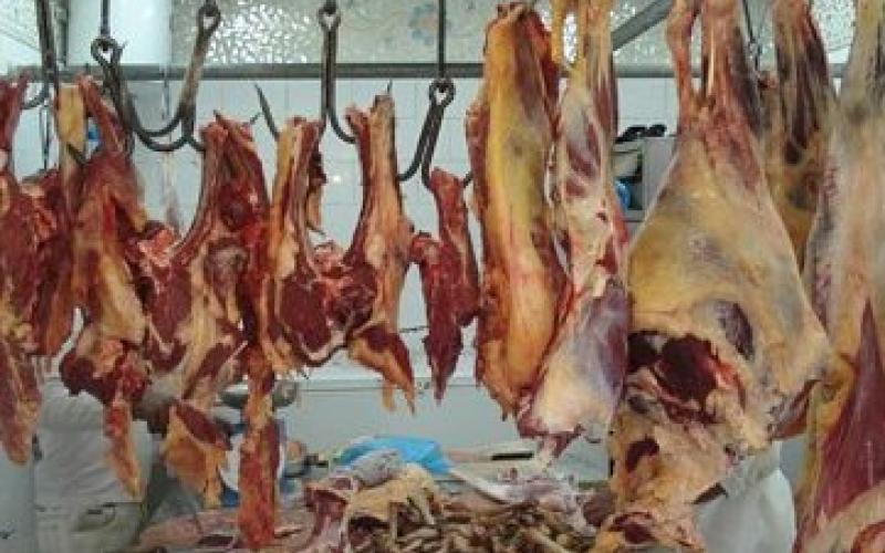  ائتلاف 146 طنا من لحوم الفاسدة خلال رمضان والعيد