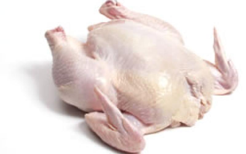 " المواد الغذائية" تطالب بتخفيض الرسوم على الدجاج المجمد 