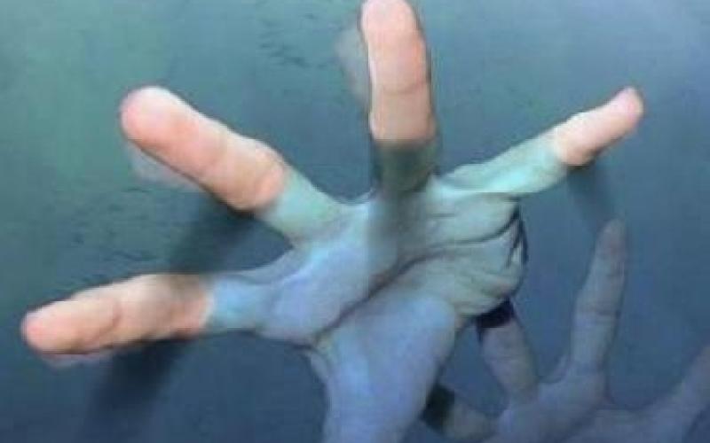 3 وفيات بحادثي سير وغرق طفل في العقبة