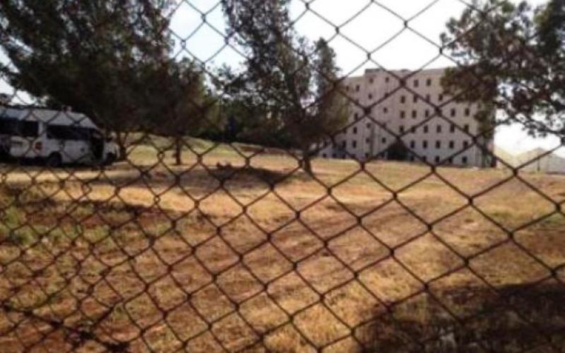 فلسطينيو سايبر سيتي يطالبون بابتعاد السلطة عن ملفهم وبهوية فلسطينية