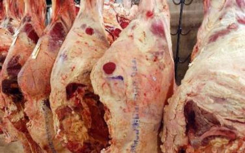 الأمانة تغلق 7 ملاحم ومسلخ بالشمع الأحمر 