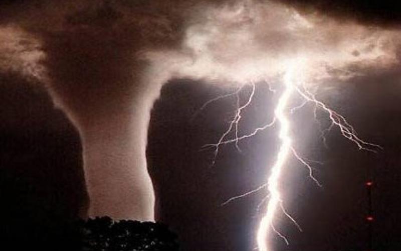 الخارجية تتابع اوضاع الاردنيين في اميركا 