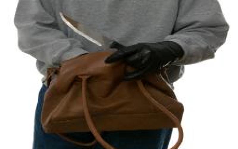 اربد: القبض على خاطفي حقائب السيدات 