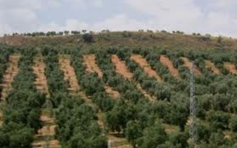 ارتفاع أسعار المنتجين الزراعيين