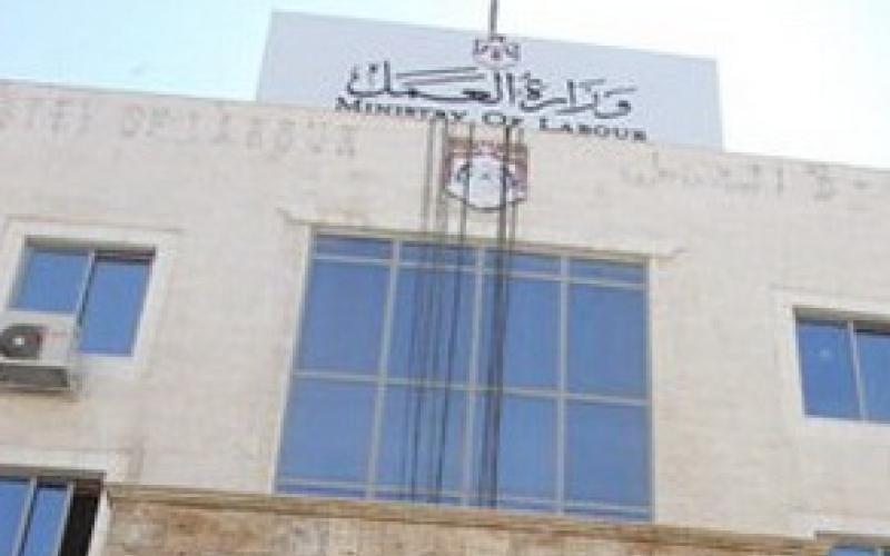 القطامين: وزارة العمل معنية بحل مشكلة البطالة 