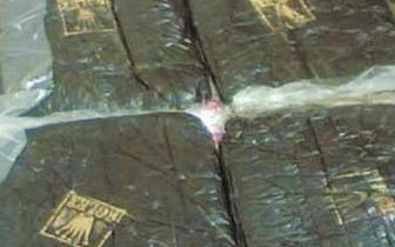 الطفيلة : ضبط مخدرات وسيارة مسروقة 