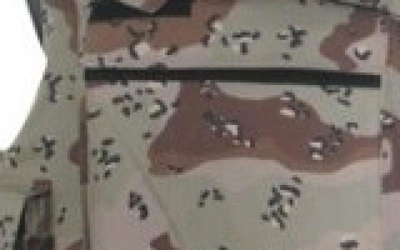 تعاون أردني أذري في المجالات الدفاعية وتأجيل مشروع الدروع الواقية