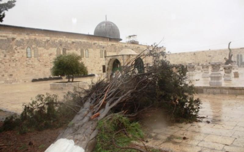 ملتقى القدس يحمل الحكومة مسؤولية حماية الأقصى