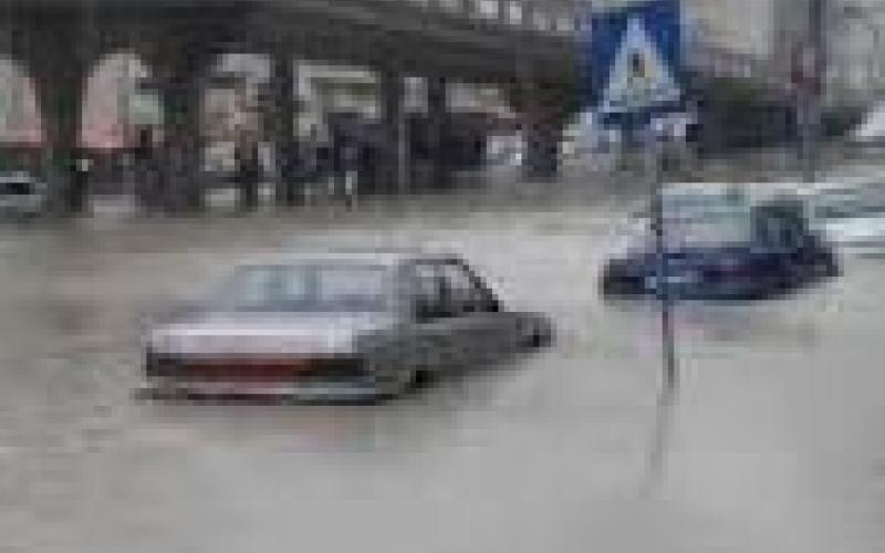 سارحة والربّ راعيها!!