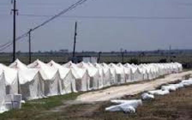 قرب الانتهاء من تجهيزات "مريجب الفهود" بإدارة إماراتية