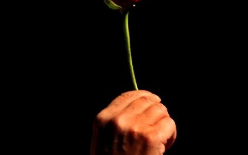 الورد الاحمر حاضر في عيد الحب (الفالنتاين)- عدسة محمد ابو غوش/ فيسبوك