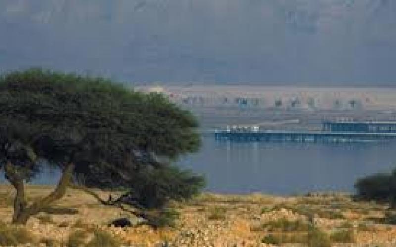 " الطاقة": البوتاس أجرت مفاوضات حول استيراد الغاز الإسرائيلي وليس الحكومة