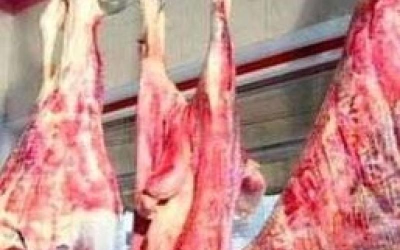 ماركا: الأمانة تتلف 2 طن لحوم فاسدة 