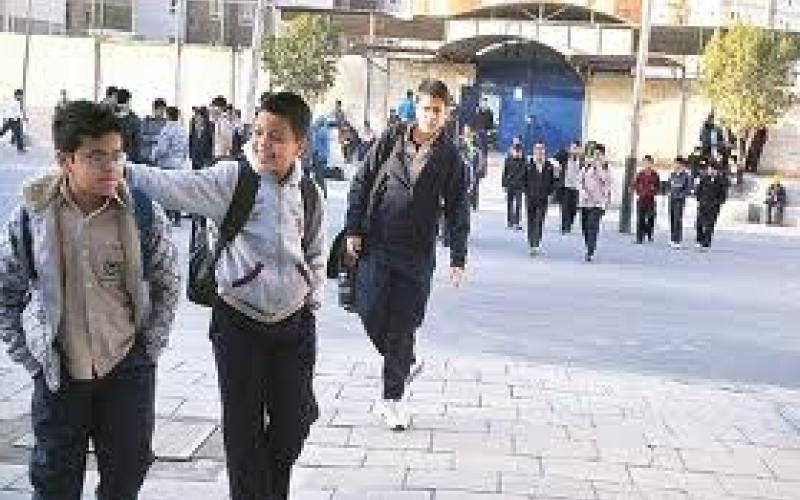 في الحَلّة...!!