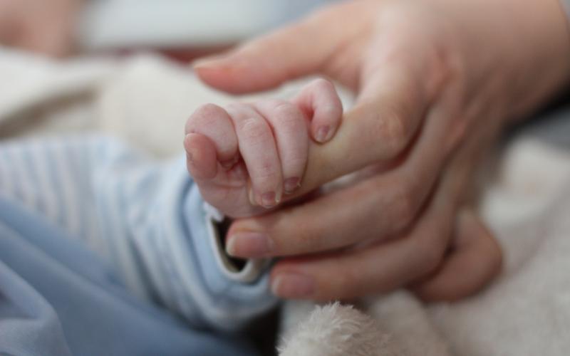 انخفاض معدلات الإنجاب حتى 2012