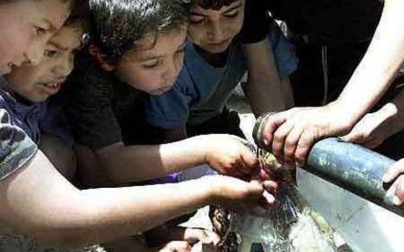 المفرق: قصة العطش 