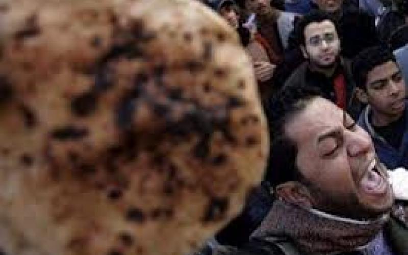 عرقي حبر وجلدي ورق