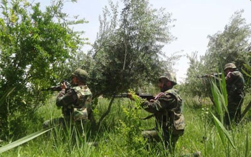 سورية: مقتل أردنييْن في ريف اللاذقية