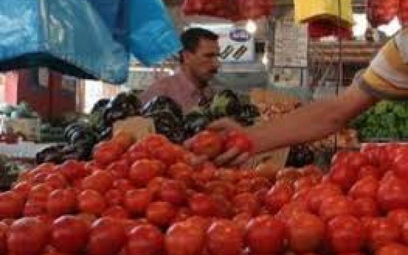 نقيب تجار الخضار: انهيار أسعار الخضار والفواكه
