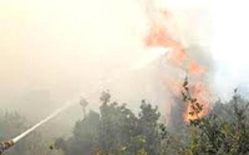 إخماد حريق ممتد من الجانب الإسرائيلي