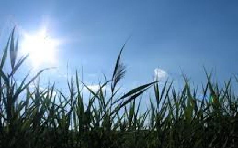 جو معتدل خلال ثلاثة أيام قادمة