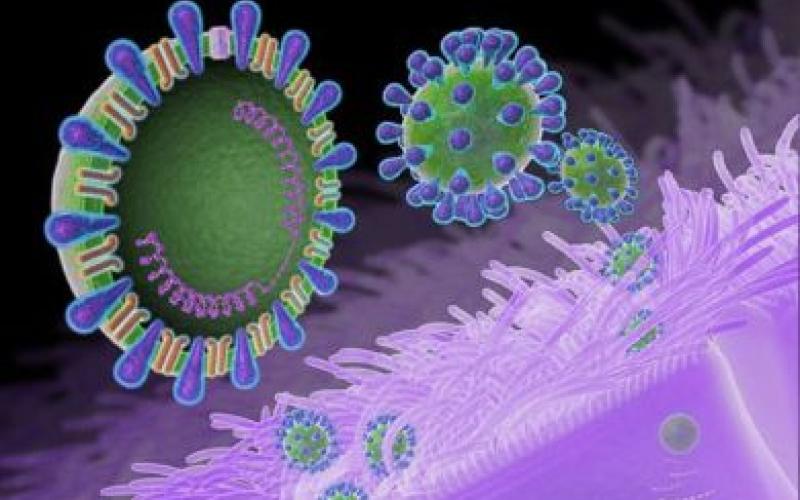 الصحة تستقصي عن إصابة بالكورونا دخلت من إيطاليا