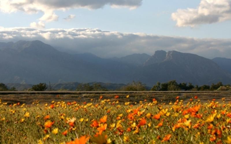 انخفاض درجات الحرارة اليوم وطقس معتدل الجمعة