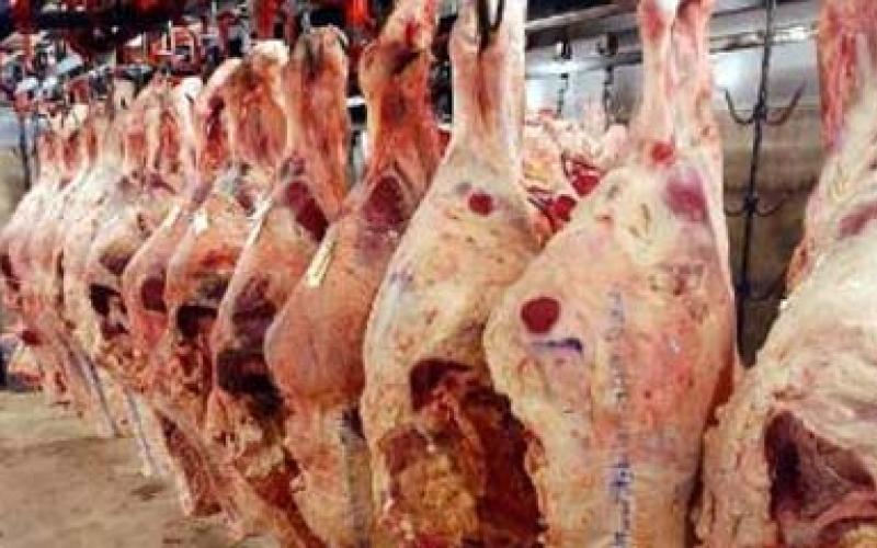 إتلاف 310 طن لحوم فاسدة منذ بداية العام