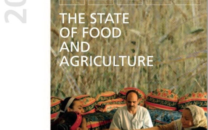 28% من الأطفال يعانون نقصا بالأنيميا.. وانتشار السمنة بين 34% من البالغين