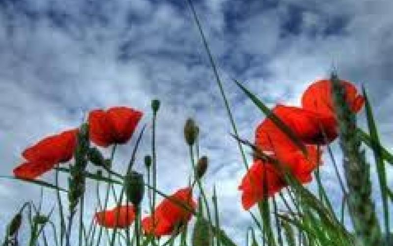 طقس معتدل الخميس