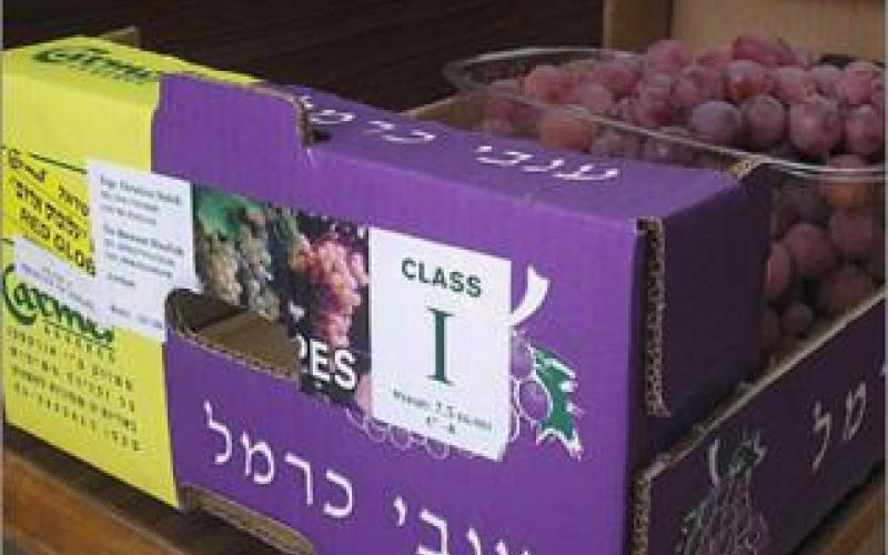 دعوة لـ"الصوم" عن المنتجات الإسرائيلية