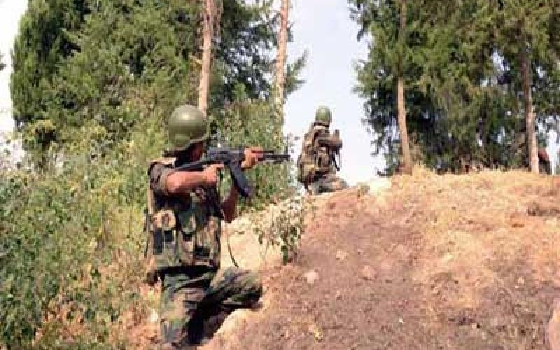 سانا: مقتل الأردنيين أبو جهاد وأبو حمزة بريف درعا