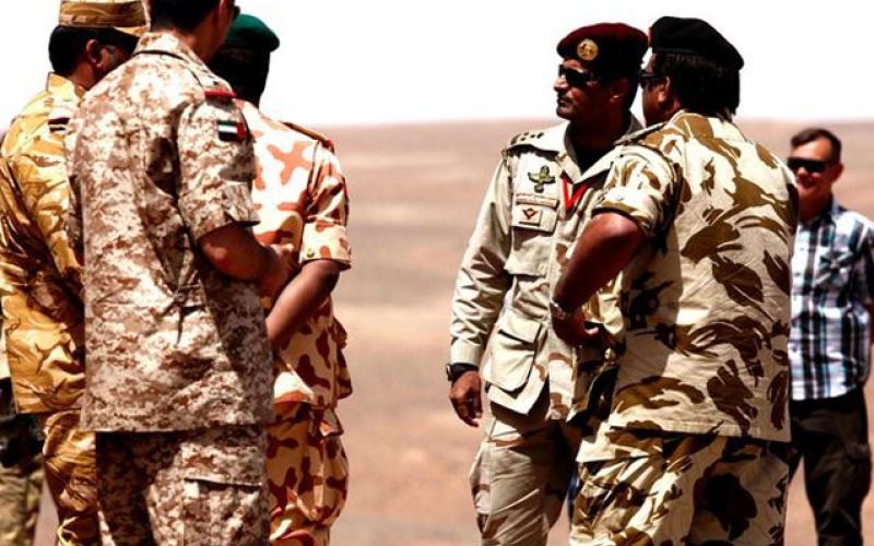 محلل عسكري: الأردن سيلتزم بالموقف الدولي تجاه سورية