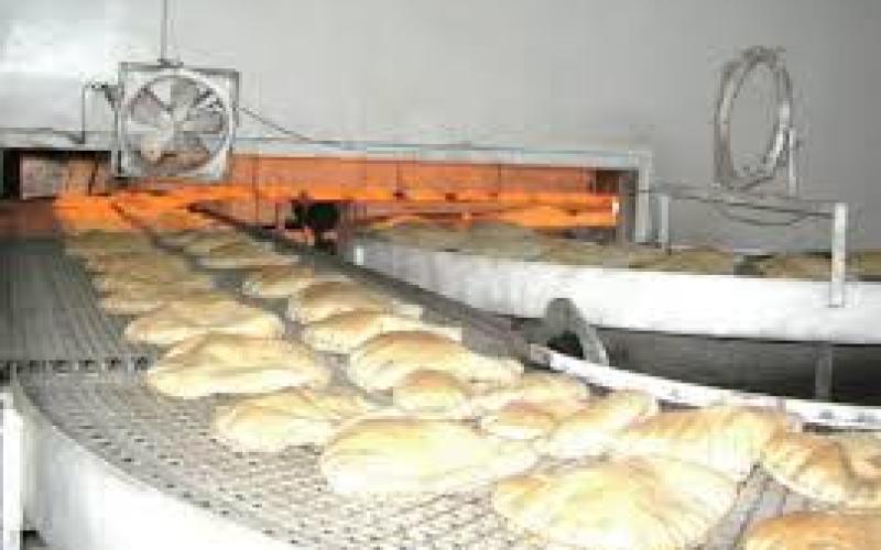 محيلان: 40% من قيمة دعم الخبز تذهب هدراً وتهريب للطحين (صوت)