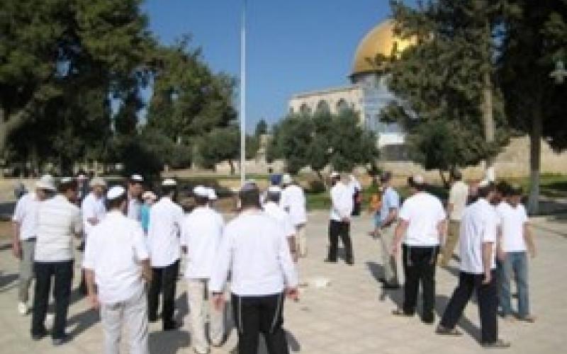 الأوقاف: الخطر يداهم الأقصى