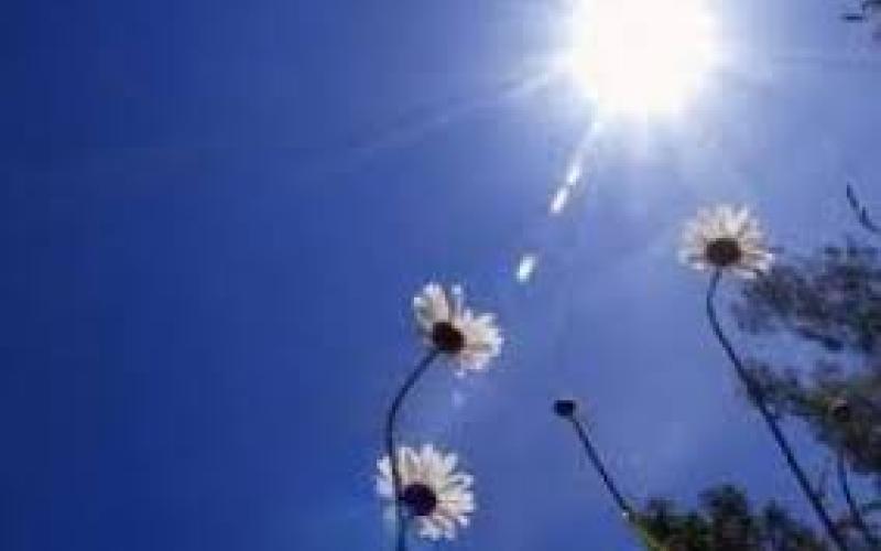 أجواء معتدلة الأيام المقبلة