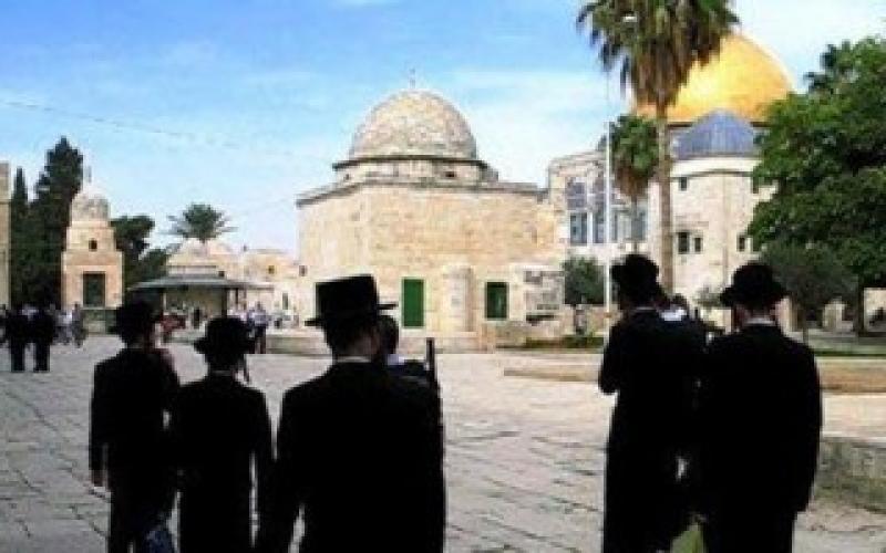 اقتحامات جماعية للمسجد الأقصى