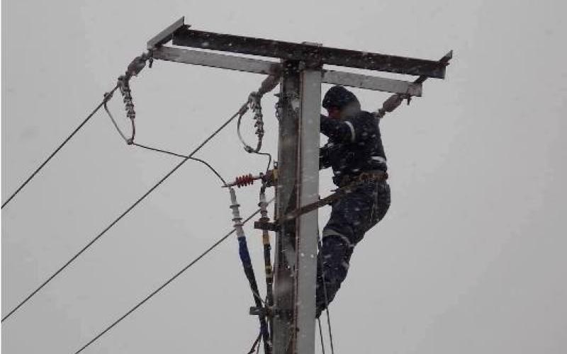 الكهرباء" تتعامل مع 80% من الانقطاعات" 