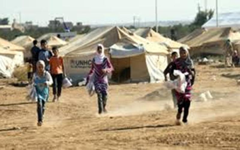 في الزعتري: السوريون يزرعون الأمل - فيديو