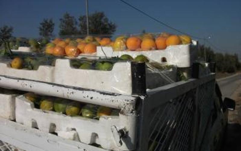 منع استيراد الخضار والفواكه دون ترخيص