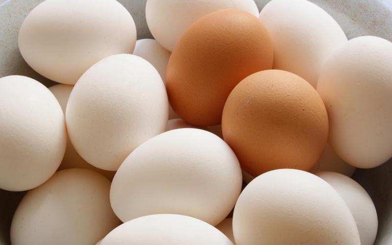 توقعات بانخفاض أسعار البيض
