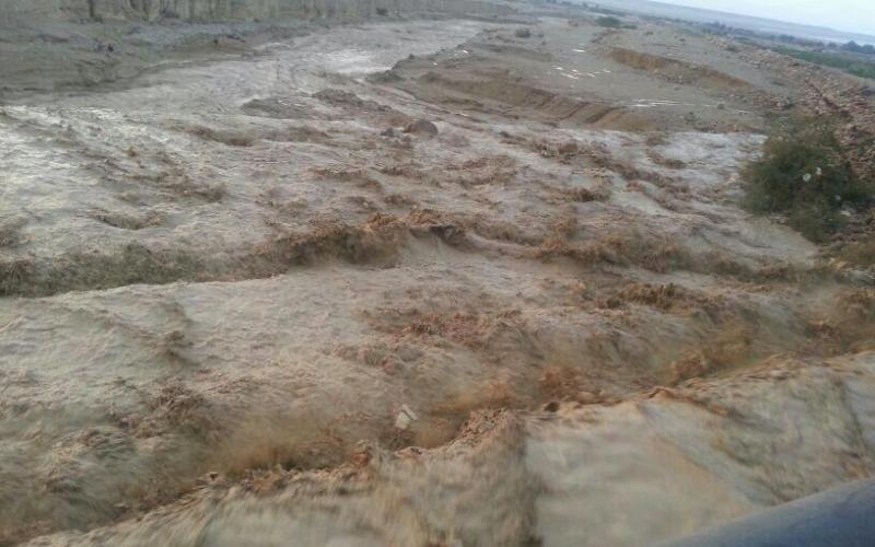 غور الصافي: السيول تداهم 20 منزلاً