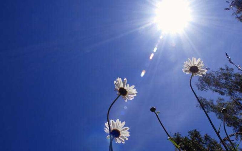 طقس لطيف ومعتدل حتى الخميس