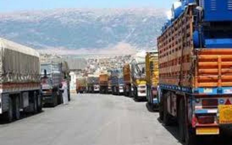 ارتفاع صادرات المملكة من الخضار والفواكه