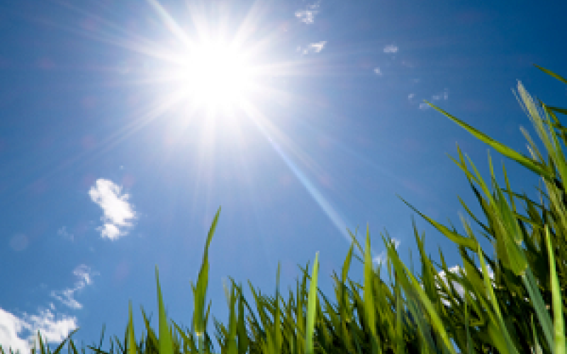 أجواء ربيعية والعظمى في عمان 26 درجة