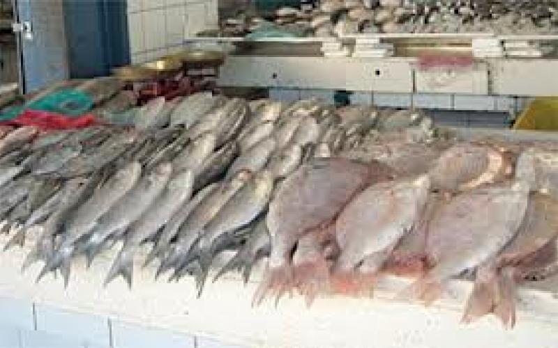تحذيرات من السمك الإسباني