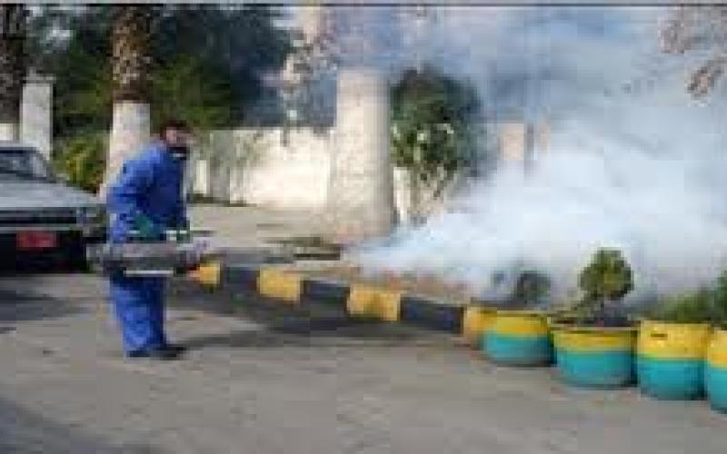 الأمانة: بدء حملة مكافحة الحشرات